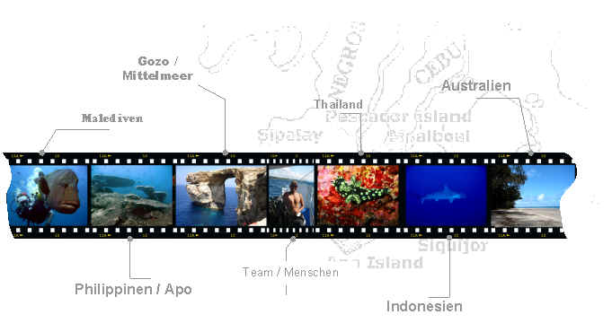 Bilder Tauchen Reisen