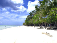Alona Beach