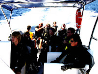 Tauchen auf Gozo - Divemania Tauchboot Xlendi