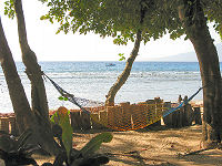 Pulisan Jungle und Beach Resort