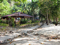 Pulisan Jungle und Beach Resort