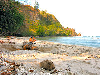 Pulisan Jungle und Beach Resort