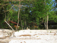 Pulisan Jungle und Beach Resort
