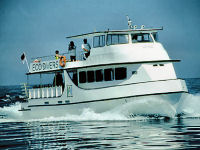 Eco-Divers-Resort-Lembeh-05.jpg