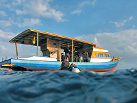 Tauchbasis Living Colours Divecenter