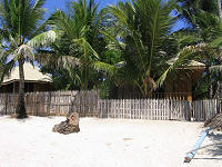 Southern Leyte Divers