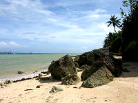 Leyte