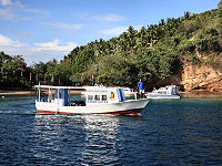 Tauchbasis Divers Lodge Lembeh