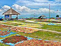Lembongan Diving Villa