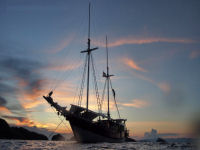 Safariboot KLM Duyung Baru - Komodo, Selayar und Sulawesi