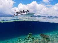 Weda Divers