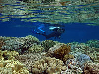 Weda Divers