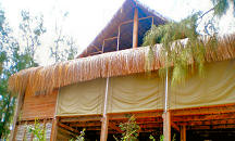 Privates Strandhaus - Tofo Beach