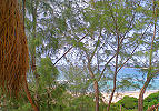 Privates Strandhaus - Tofo Beach
