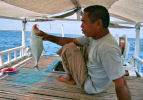 Bara Beach Resort - Bira