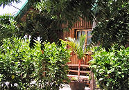 Antulang Dive Hub - Negros Philippinen