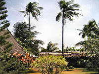 Ravenala Beach Bungalows - Moalboal