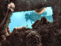 wracktauchen - coron bay