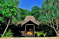 Bungalow - Selayar Dive Resort