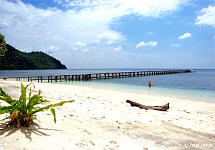 Selayar Dive Resort - Fr&uuml;hjahrs - Special
