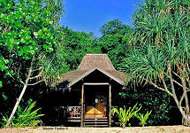 Selayar Dive Resort - Fr&uuml;hjahrs - Special