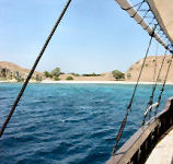 Tauchsafari Komodo