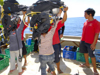 Tauchen - Terminal Tulamben Bali