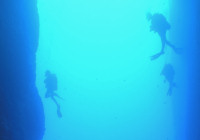 Tauchen auf Gozo - Steilwand