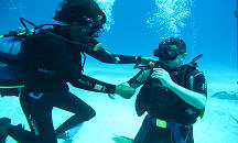 Tauchbasis Tofo Scuba - Tofo Beach