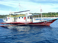 Tauchsafaris Apo Reef - Mindoro