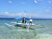 Tauchbasis - Moalboal - White Beach Divers