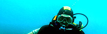 Taucher - Komodo Indonesien