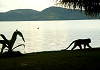 Sangat Island - Coron Bay - Busuanga