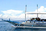 tauchsafari philippinen - easy diving sipalay