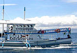 tauchsafari philippinen - royo