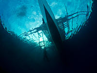 SeaQuest Dive Center