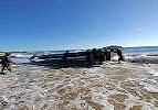 Tauchbasis Tofo Scuba - Tofo Beach