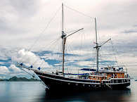 MSY Seahorse – Safariboot Raja Ampat 
