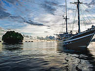 Tauchsafaris in West Papua & Raja Ampat – Seahorse 