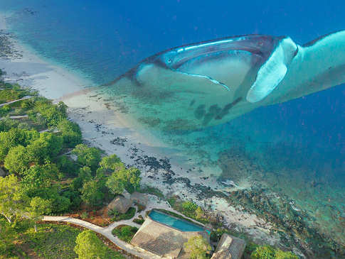 Alor – Komodo Kombi Trip 2024