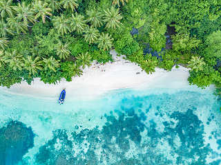Raja Ampats Inselwelt 