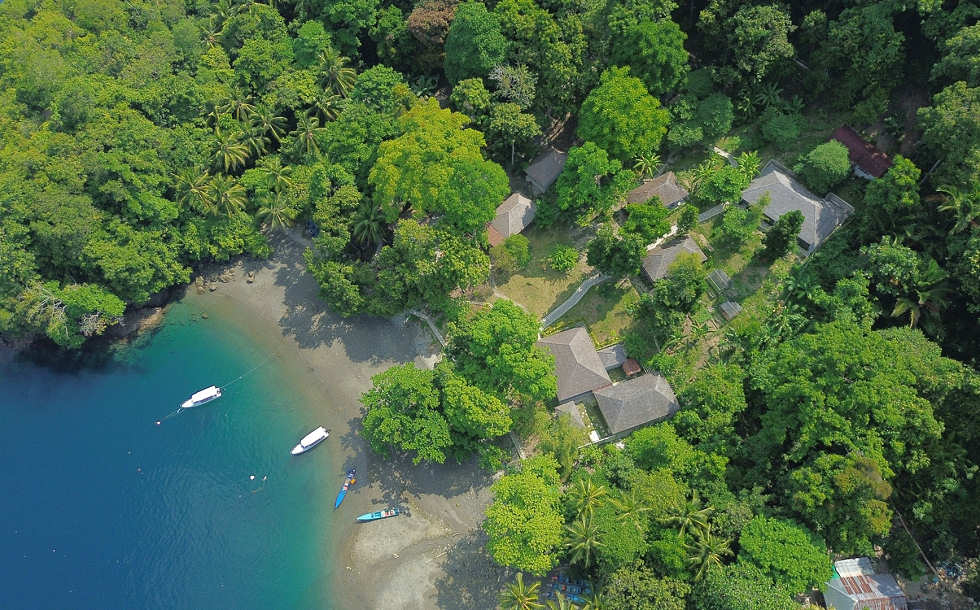 Tauchresort inmitten des Waldes 