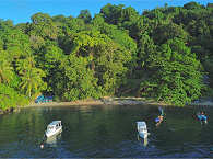 Strand der Ambon Divers 