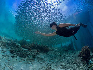 Apnoe Tauchen – Raja Ampat, Indonesien 