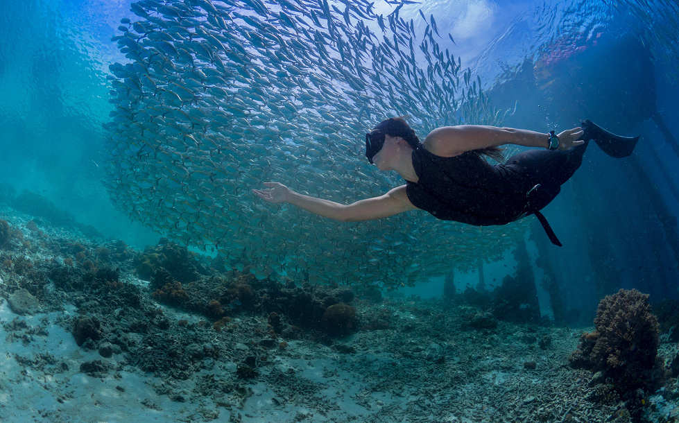 Apnoe Tauchen – Raja Ampat, Indonesien 