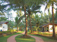 Palmen und Blumen in der Resortanlage 