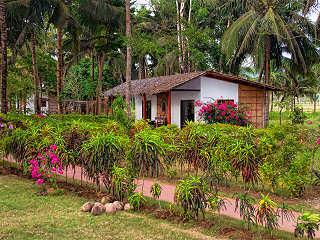 Garden Bungalow 