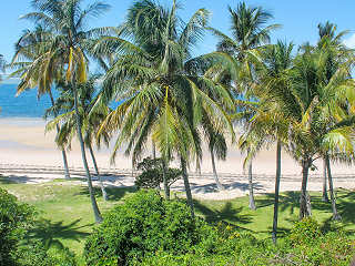 Blick auf den Strand vor der Archipelago Lodge