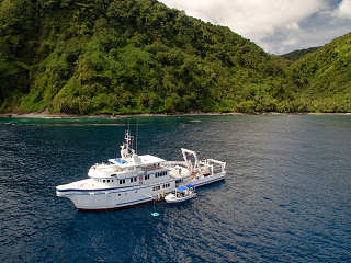 Argo Liveaboard Cocos Island 
