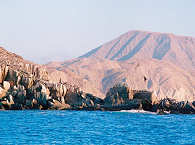 Baja California ·  Tauchsafaris Mexiko 